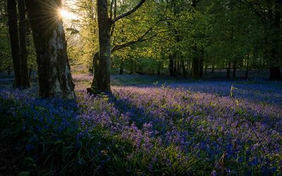 El impacto de las afirmaciones positivas y cómo utilizarlas