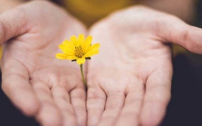 El poder del perdón – Ejercicios que te ayudarán a perdonar