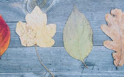 ¿Estás listo para hacer un cambio de vida o hacer un cambio drástico en ella?