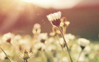 Cómo desarrollar la confianza en ti mismo – Día 4 del reto de la transformación