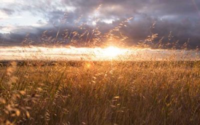 Cómo combatir la autocrítica – Día 3 del reto de la transformación