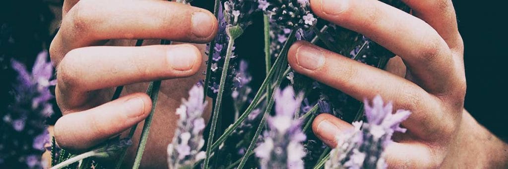 Meditación guiada de gratitud