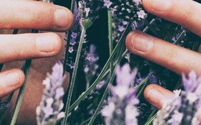 Meditación guiada de gratitud – Agradece a través de esta meditación