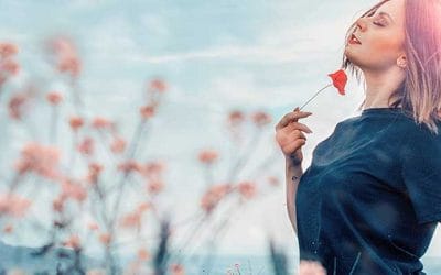 Programa de meditación guiada para visualizar y mejorar tu vida en 6 partes