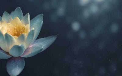 Visualización guiada al iniciar tu día para que sea perfecto