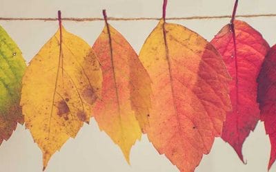 Cambia tus hábitos, cambia tu vida