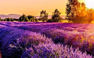 Como desarrollar la autocompasión en 5 pasos