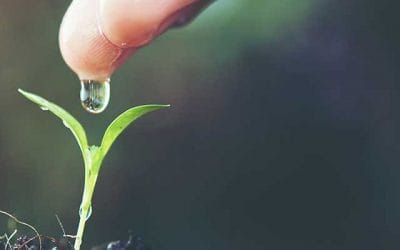 Test: Averigua si dedicas tiempo a tu desarrollo personal