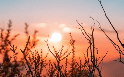 Las 10 mejores afirmaciones para ser feliz y sentirte bien
