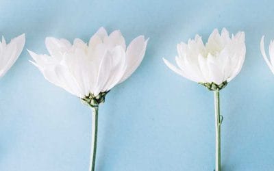 10 señales de que eres una persona altamente sensible